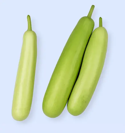 Bottle Gourd