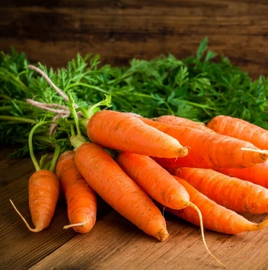 Carrot